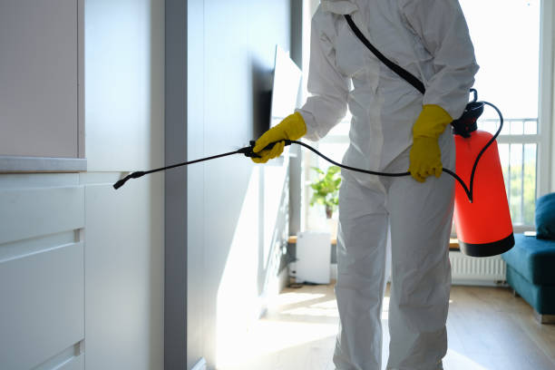 Best Residential Mold Removal  in Charlotte, NC